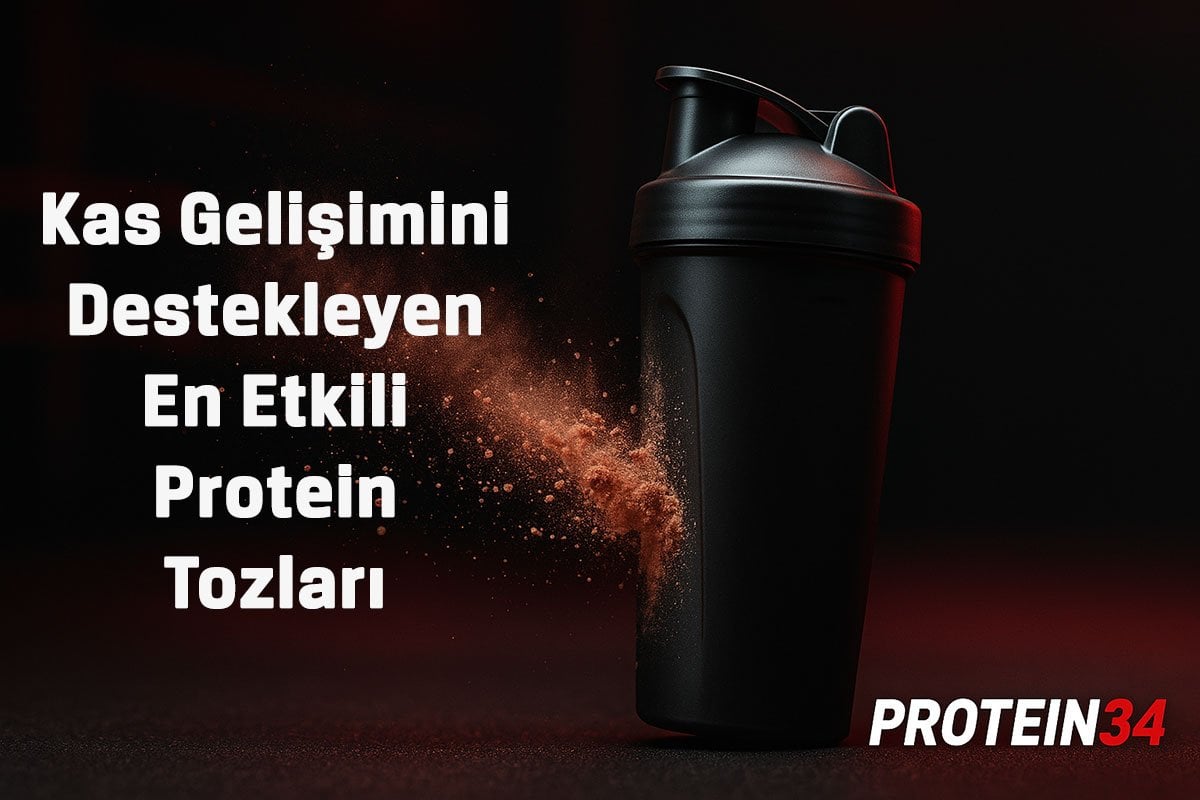 Protein Tozu Çeşitleri