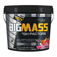 Bigmass Mass Gainer Gh Factors 1200 Gr