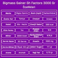 Bigjoy Big Mass +GH Factors 3000 Gr Gainer Karbonhidrat