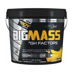 BigJoy Bigmass Mass Gainer Gh Factors 5000 Gr