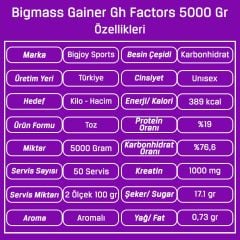 Bigjoy Big Mass +GH Factors 5000 Gr Gainer Karbonhidrat