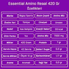 Bigjoy Essential Amino Reaal 420 Gr