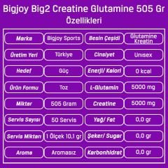 Bigjoy Big2 Creatine + Glutamine 505 Gr
