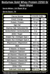 Bodymax Gold Whey Protein 2250 Gr 75 Servis
