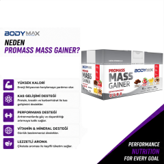 Bodymax Doypack Promass Mass Gainer 6000 Gr
