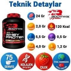 Bodymax Gold Whey Protein 2250 Gr 75 Servis – Çilekli