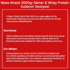 Bigjoy Mass Attack Gainer & Whey Protein 3000gr