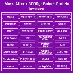 Bigjoy Mass Attack Gainer & Whey Protein 3000gr