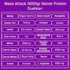 Bigjoy Big Mass Attack 3000 Gr Kompleks Karbonhidrat