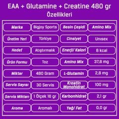 Bigjoy Sports EAA + Glutamine + Creatine 480gr