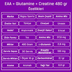 Bigjoy EAA + Glutamine + Creatine 480 Gr
