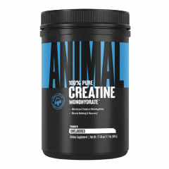 Universal Animal Creatine Monohydrate 500 gr